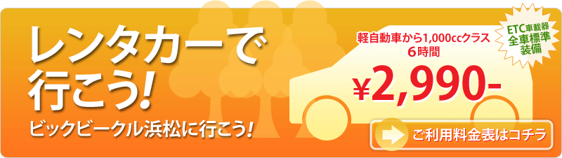 軽自動車から1,000ccクラス 6時間 2,990円