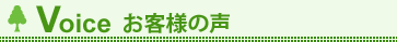 ql̐